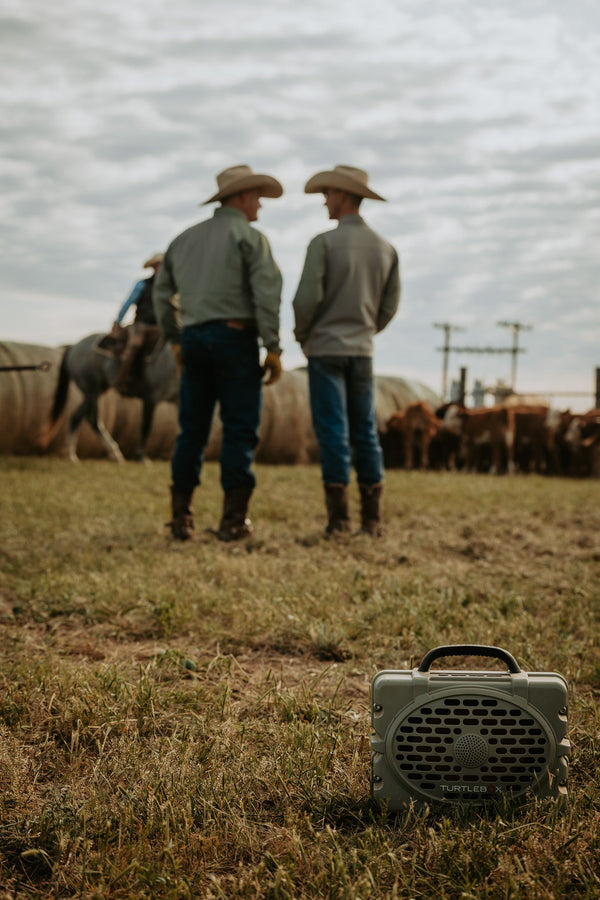 Turtlebox playing music on the ranch