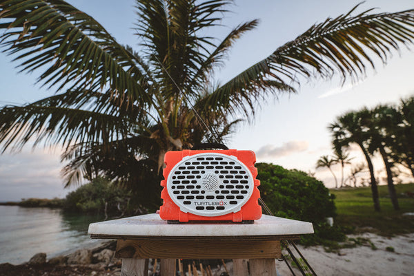 Turtlebox at the beach