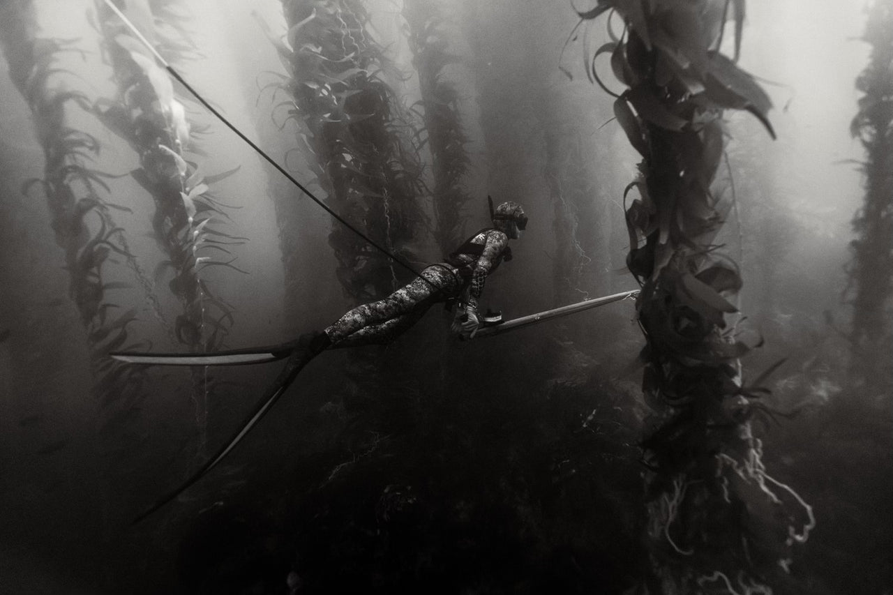 Turtlebox ambassador, Brooke Basse, diving the kelp forest.