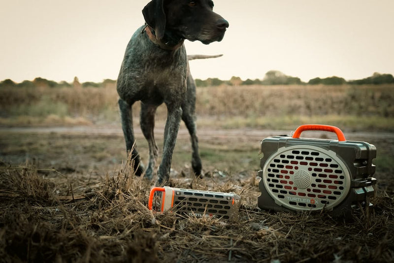 Dog standing next to two Turtlebox speakers on a field