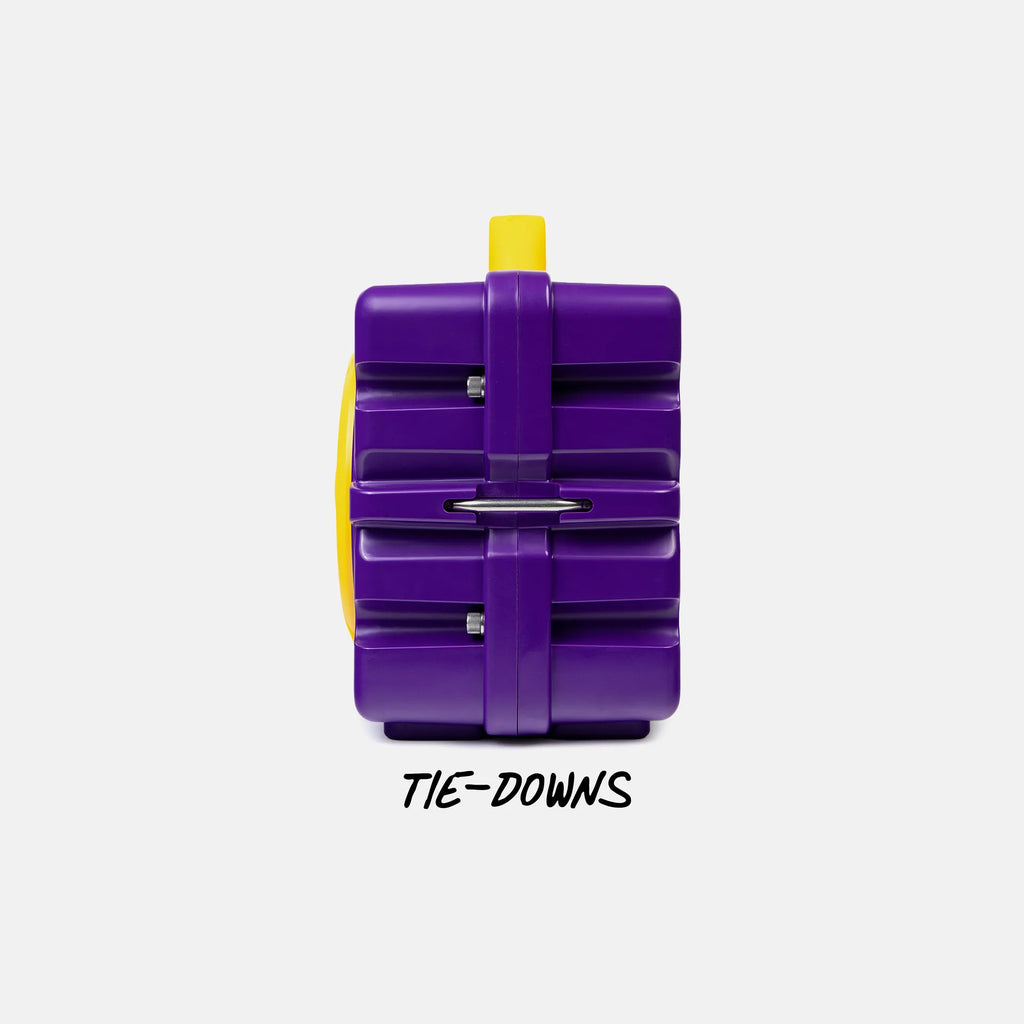 Purple & Gold Original Gen 3 side view #speaker-color_purple-gold-gameday-series