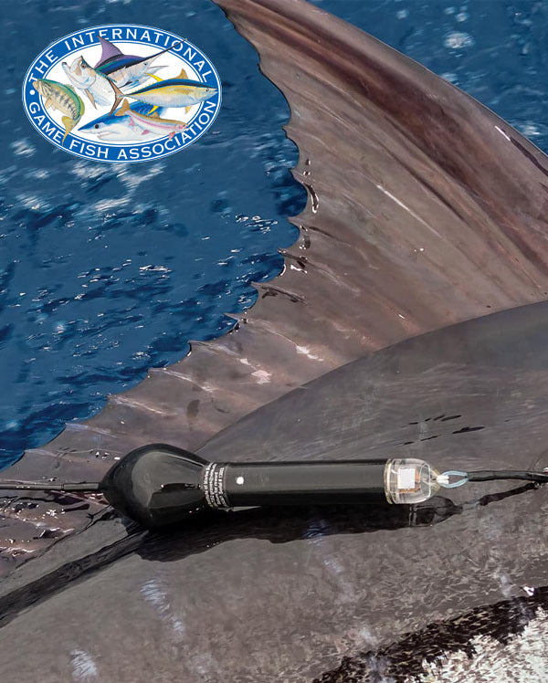 Image showing the International Game Fish Association logo.