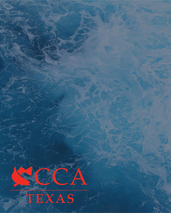 Image showing the CCA Texas logo.