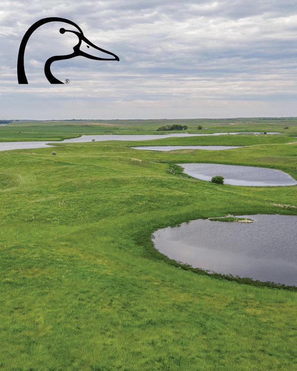 Drone / overhead shot of beautiful bay with green grass and Ducks Unlimited logo.