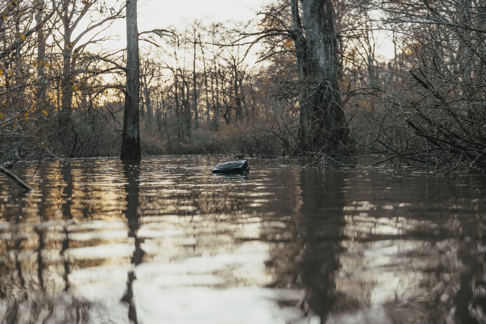 A Turtlebox speaker floating in the water with trees around in a swamp