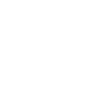 Fireworks vector image