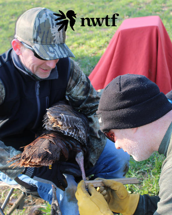 Men tagging a turkey and showing the NWTF logo.