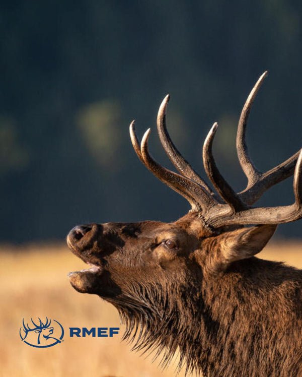 Close up of Moose in the wild showing the RMEF logo.