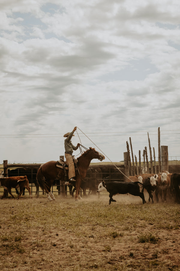 We're Saddling Up With The 6666's Ranch