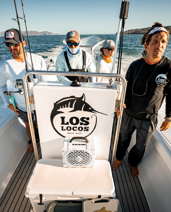 Los Locos | Turtlebox 