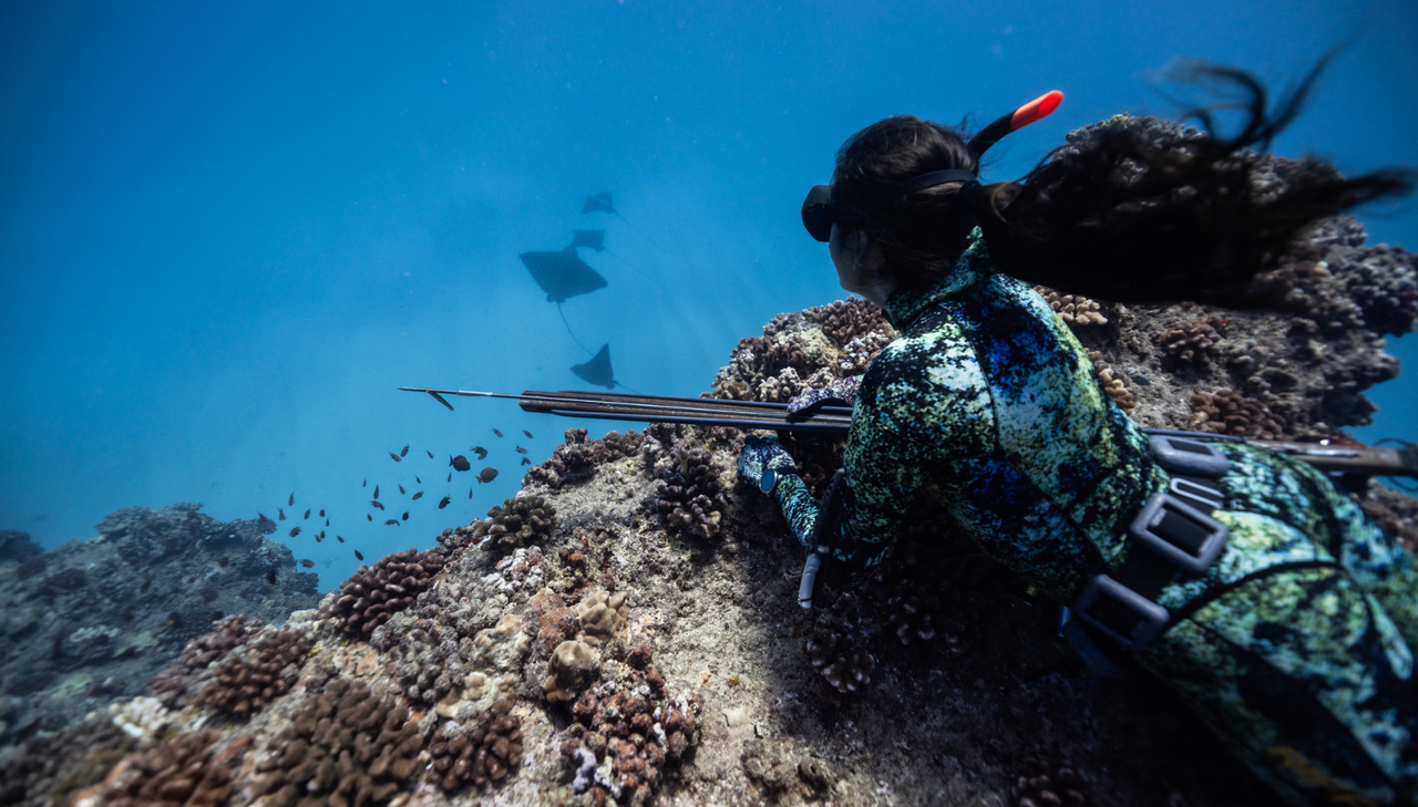 Turtlebox ambassador Kimi Werner Spearfishing lifestyle photo