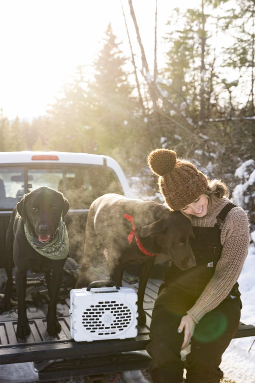 Woman with three dogs on a snowy day, one in a carrier, with trees in the background.