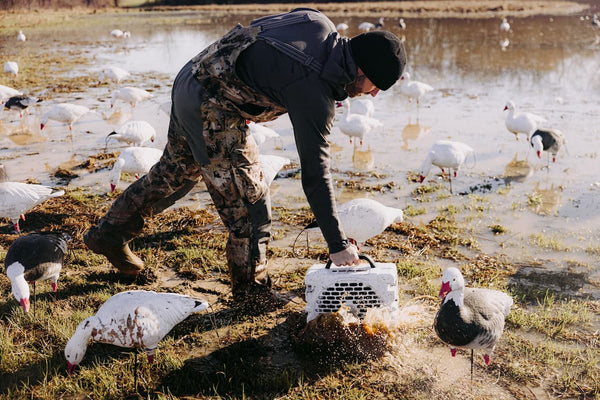 Person handling a Turtlebox Grande in White with birds around in a wetland area