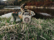 A lifestyle photo of a green rubber boots and a small Turtlebox portable speaker on grass near a body of water. #base-color_tan