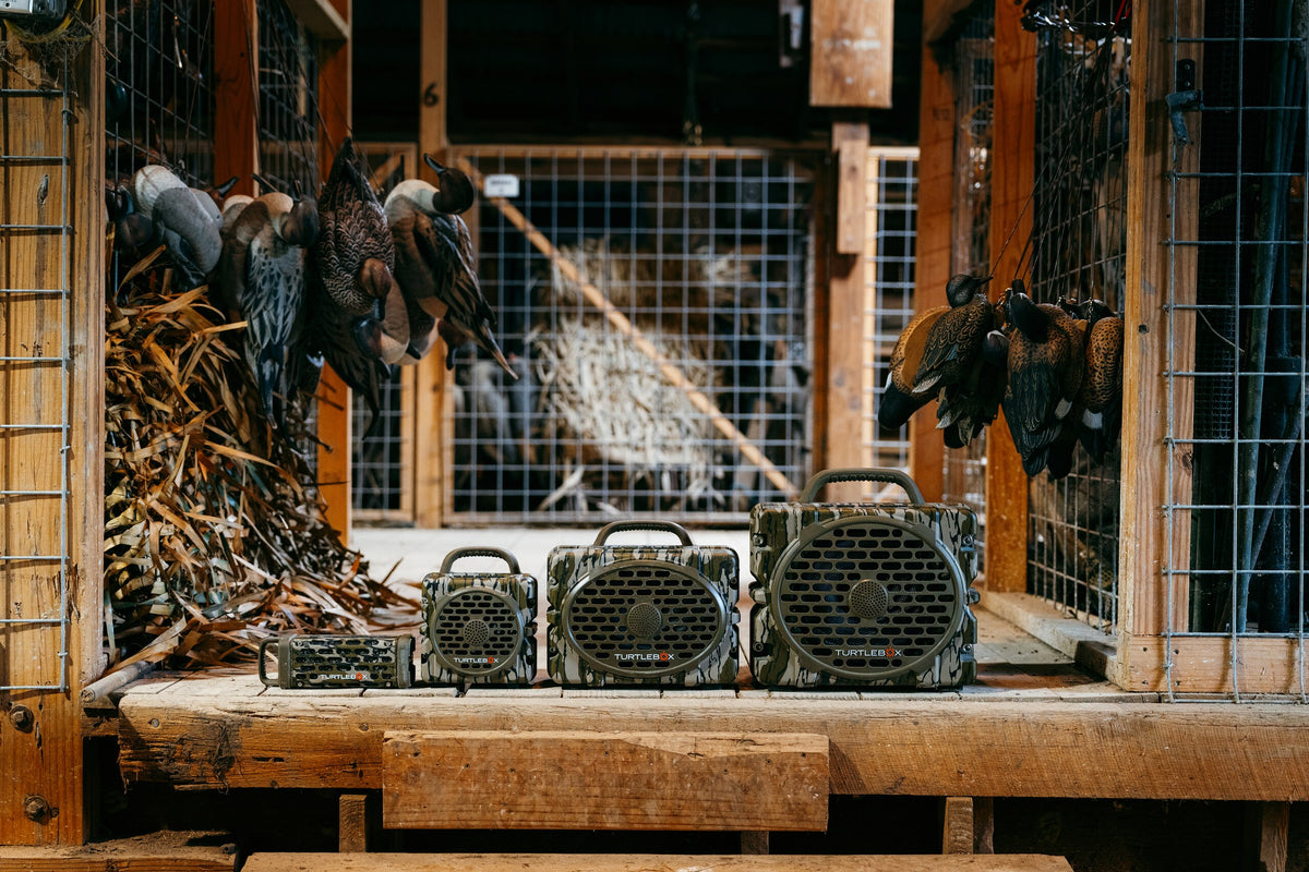 Bottomland speakers with ducks hanged in a cage