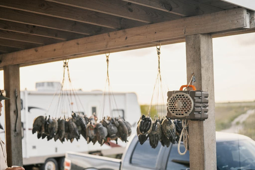 Hanging bird traps on a wooden structure with a truck and open field in the background