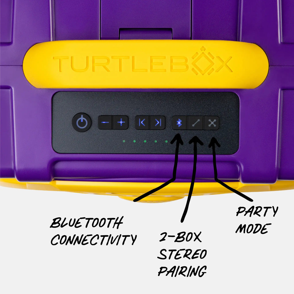 Purple & Gold Original Gen 3 top macro view #speaker-color_purple-gold-gameday-series