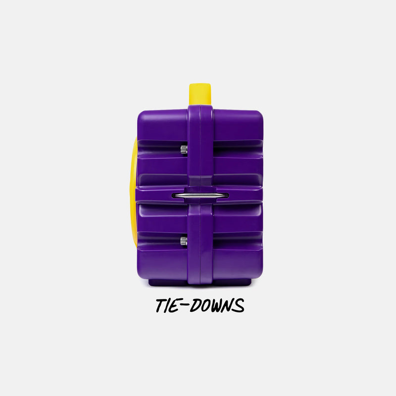 Purple & Gold Original Gen 3 side view #speaker-color_purple-gold-gameday-series