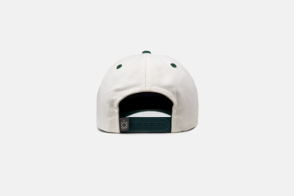 Studio back shot of the Jammin' Turtle Cap 