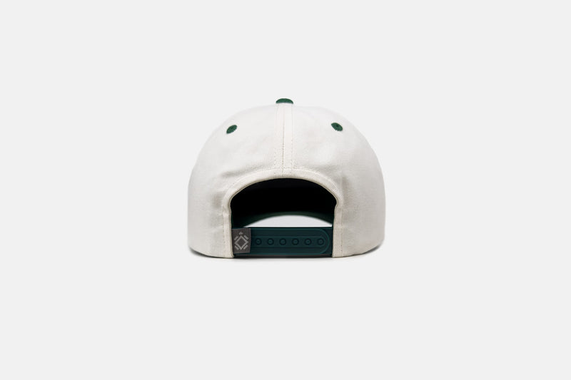 Studio back shot of the Jammin' Turtle Cap 