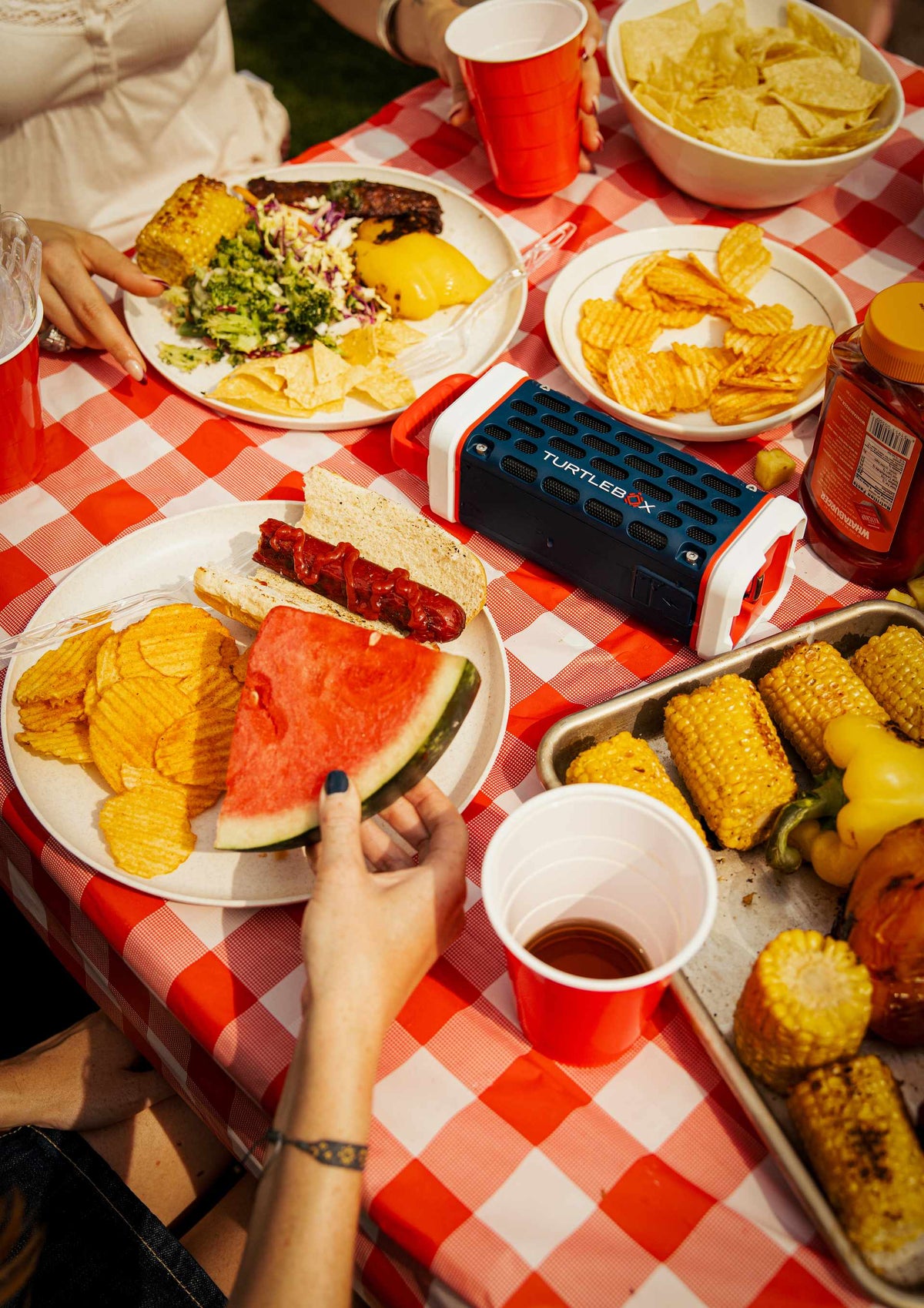 A lifestyle photo of an outdoor picnic scene with food and a portable speaker on a checkered tablecloth #base-color_americana-blue