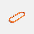 Turtlebox Carabiner no-gallery