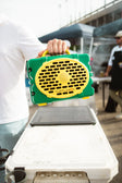 A lifestyle photo of a Green & Yellow Original Gen 3 speaker. #speaker-color_green-yellow-gameday-series