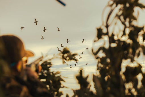 A lifestyle photo of a guy with a shotgun firing to some flying ducks