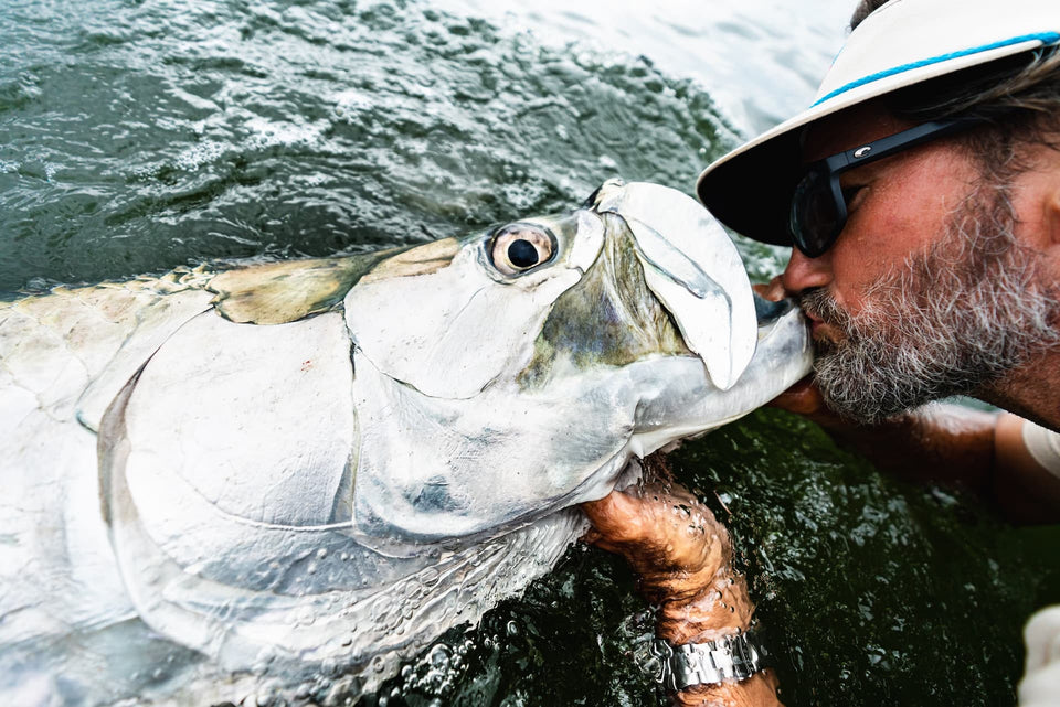 JT Van Zandt Turtlebox Ambassador TURTLEBOX