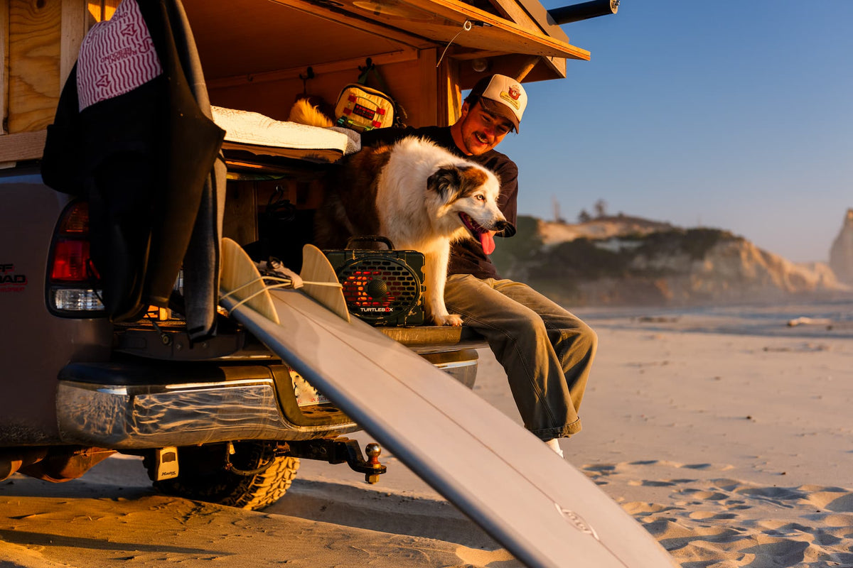 Man with a dog sitting on a truck bed at the beach with a surfboard.