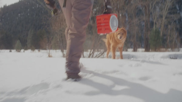 Winter video for Turtlebox presentation