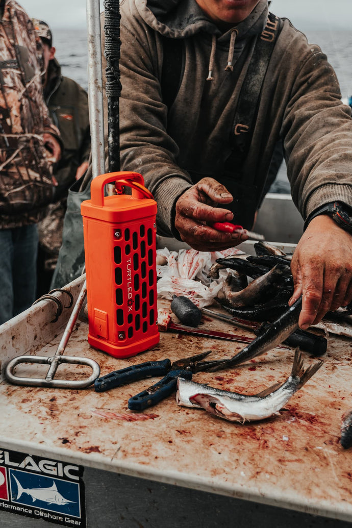Person cleaning fish on a boat with fishing equipment and tools.