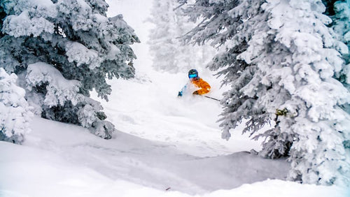 A lifestyle photo of a guy skiing in the snow between pinetrees